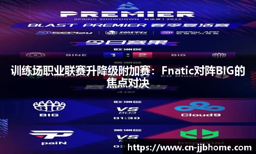 训练场职业联赛升降级附加赛：Fnatic对阵BIG的焦点对决